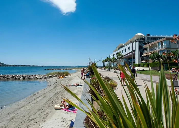 Bulle De Thau, Piscine Et Pinede